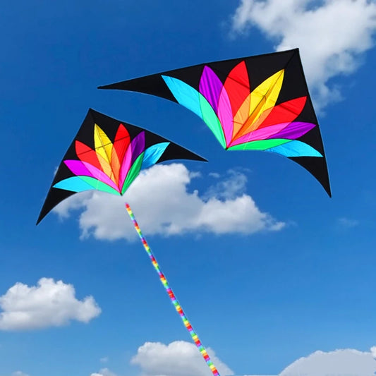 Rainbow delta kite for children kites with 10m tail kids toy