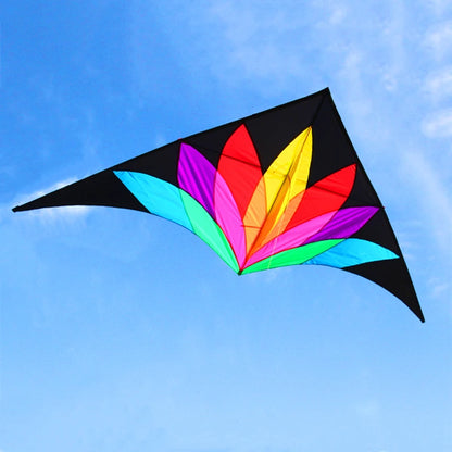 Rainbow delta kite for children kites with 10m tail kids toy