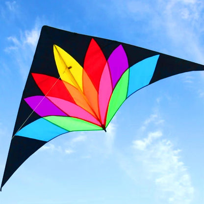 Rainbow delta kite for children kites with 10m tail kids toy