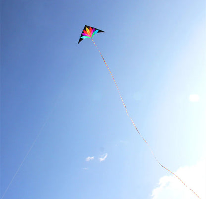 Rainbow delta kite for children kites with 10m tail kids toy