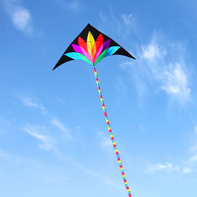 Rainbow delta kite for children kites with 10m tail kids toy